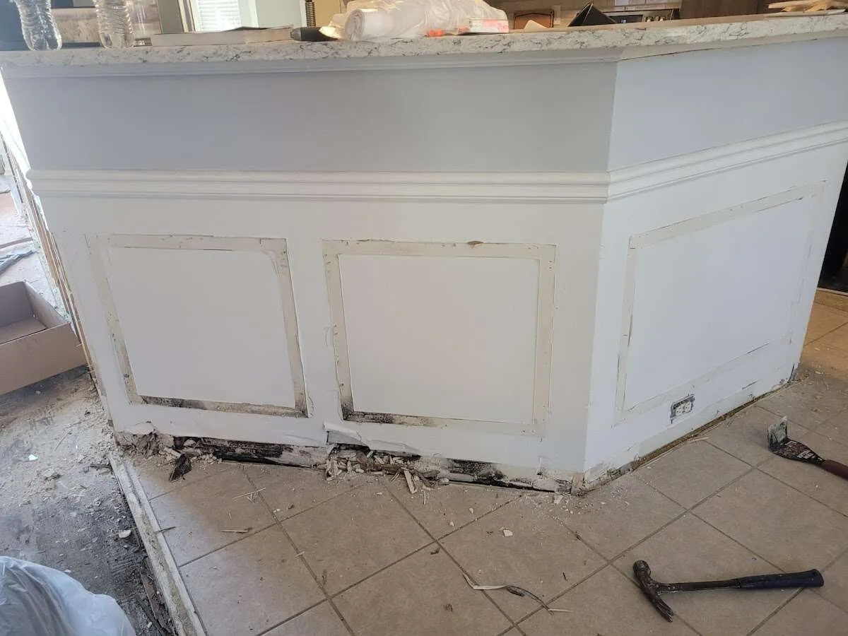 Water damage and mold on kitchen during Mold Inspection & Testing in Seabrook